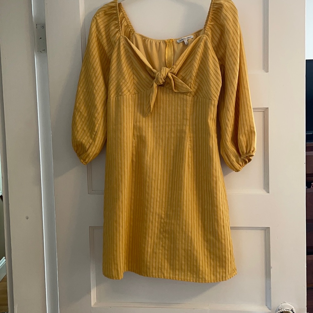 Beautiful transitional dress with blouson sleeves.